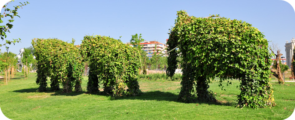 Elefantes