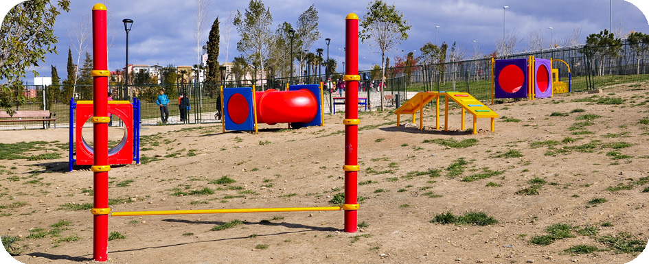 area canina