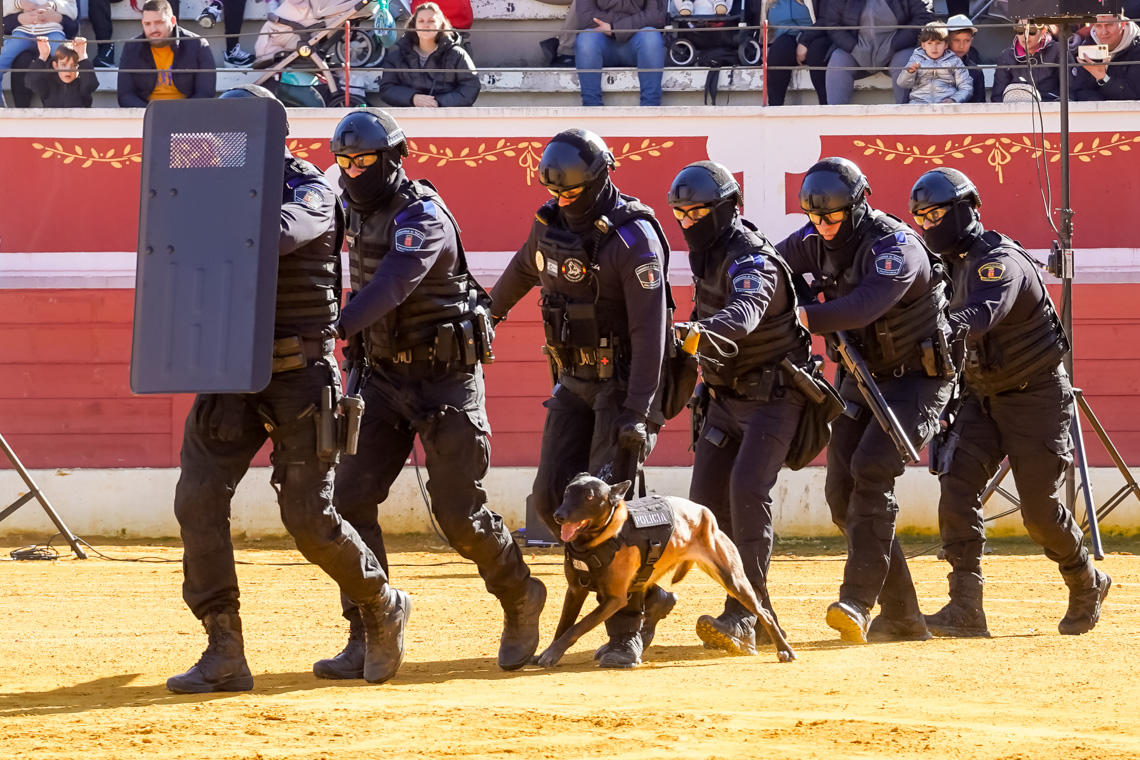 Masiva participación de los torrejoneros en el Día de la Tortilla - Exhibición de la Unidad Canina de la Policía Local