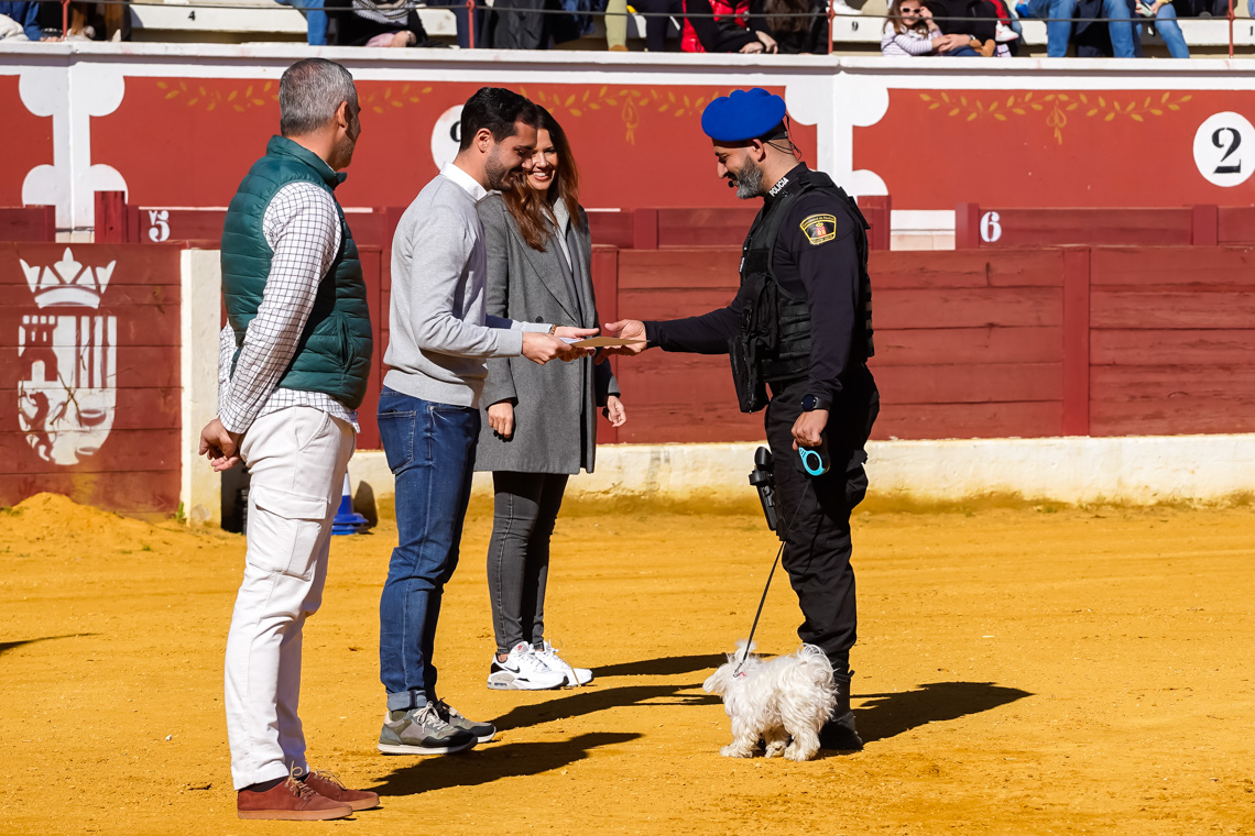 Masiva participación de los torrejoneros en el Día de la Tortilla - Exhibición de la Unidad Canina de la Policía Local