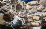 Galería de productos