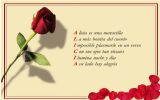 Galería de productos