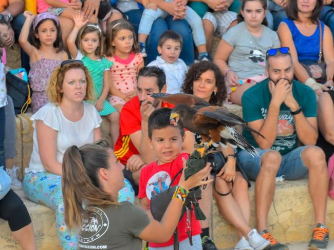 Exhibición de Fauna Aventura