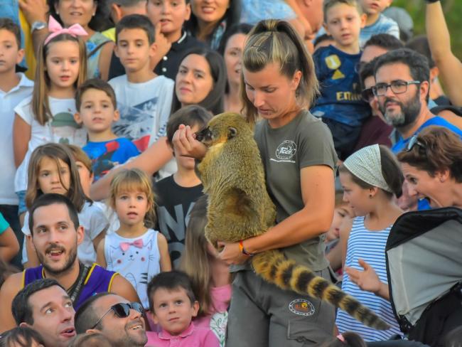 Exhibición de Fauna Aventura