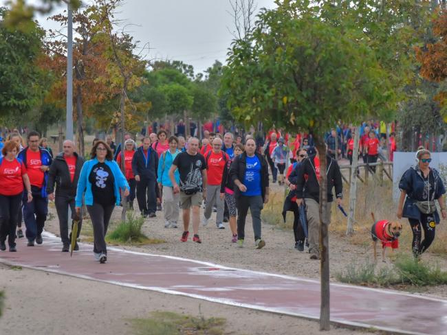 V Camino de Cervantes