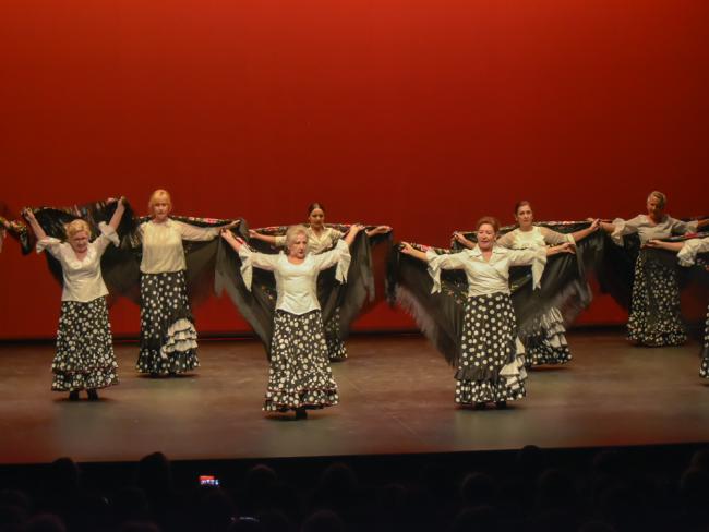 XX Festival de Danza Benéfico a favor de la Asociación Española contra el Cáncer 