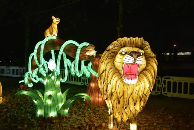 Mágicas Navidades de Torrejón de Ardoz
