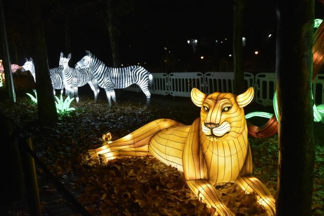 Mágicas Navidades de Torrejón de Ardoz