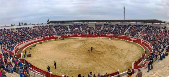 Día de la Tortilla - Plaza de Toros