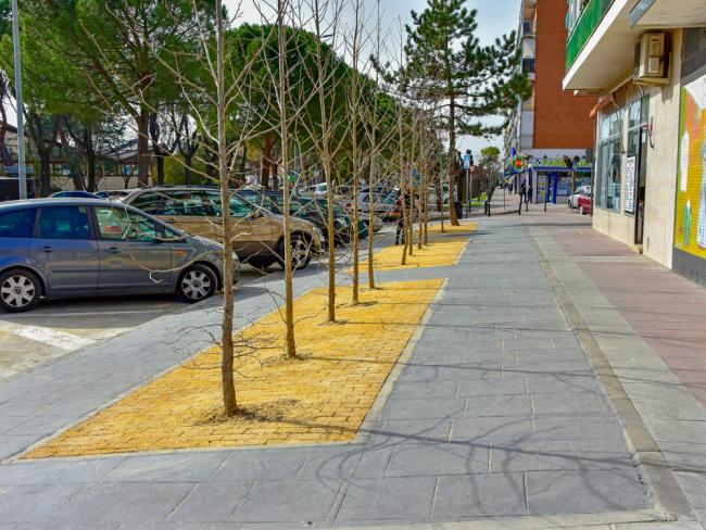 Plan Renovación Aceras y a la Campaña Acerado 2019-Calle Circunvalación