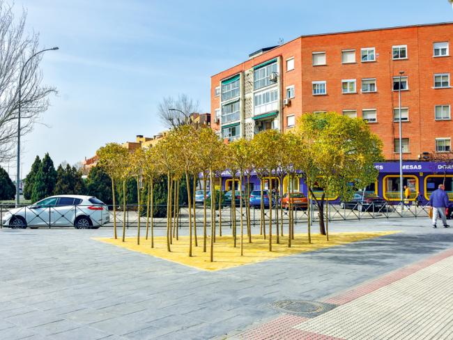 Plan Renovación Aceras y a la Campaña Acerado 2019-Calle Circunvalación