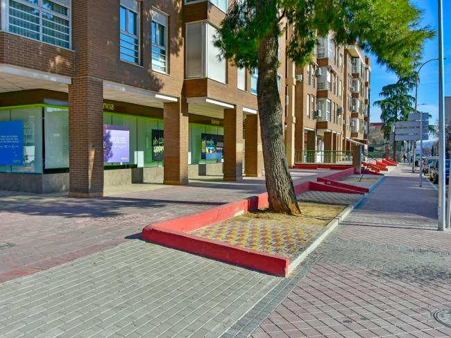 Plan Renovación Aceras y a la Campaña Acerado 2019-Barrio Ciudad Jardín del Rosario
