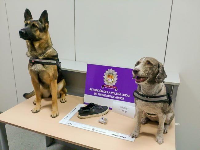 La Unidad Canina de la Policía Local de Torrejón ha detenido en los últimos meses a 5 individuos, incautándose de hachís, cocaína y plantas de marihuana