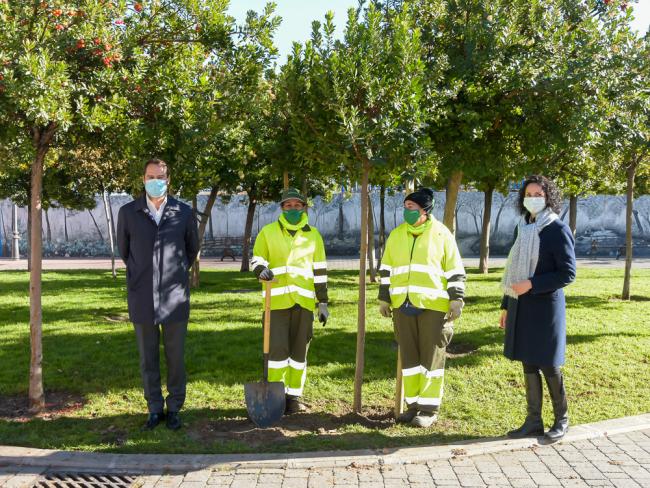 Torrejón de Ardoz conmemora el 42 aniversario de la Constitución española con la plantación de un nuevo madroño en el Parque Constitución 