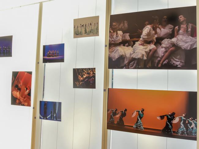 Exposiciones