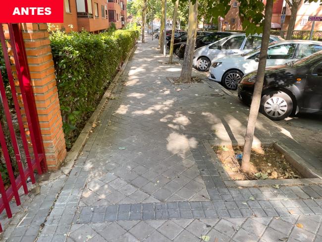 Finaliza la 1ª fase del Plan Renovación Aceras - Calle Naranjo en Plaza de las Palmeras