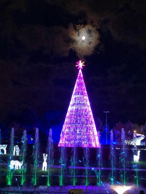 Los torrejoneros pueden retirar desde las 12 de la mañana de hoy las invitaciones gratuitas del Parque Mágicas Navidades para la semana que viene completa, y también para la apertura de hoy viernes, mañana sábado y el domingo
