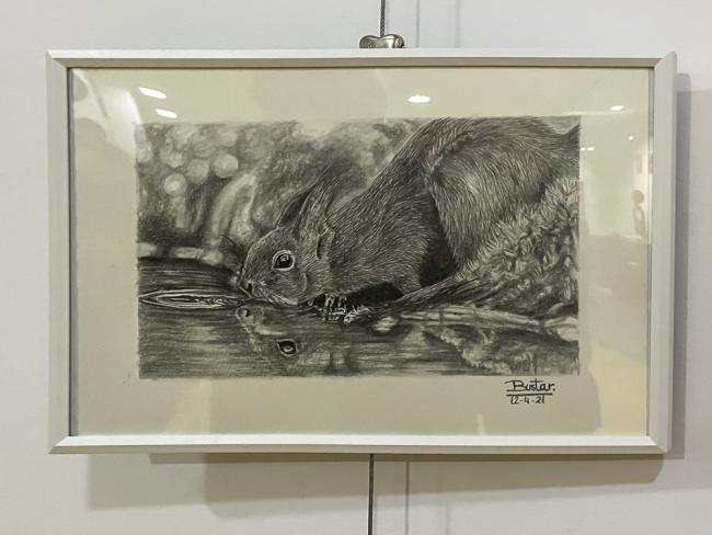 Exposiciones