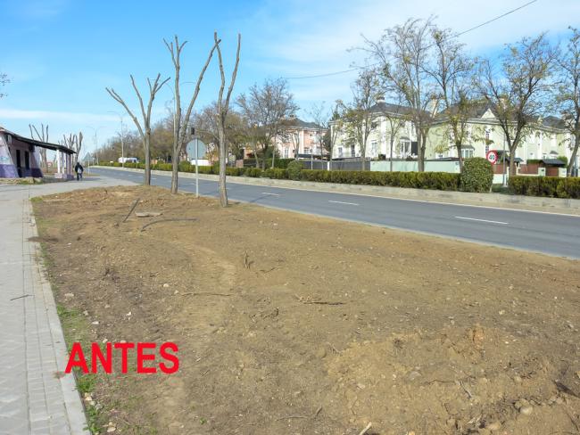 Creados 3.000 metros cuadrados de praderas