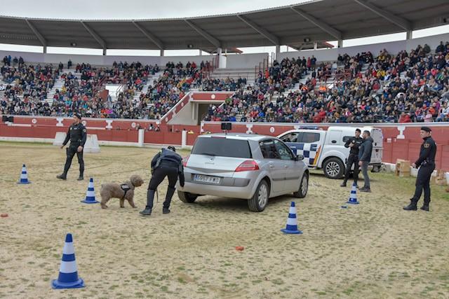 la Exhibición de la Unidad Canina de la Policía Local