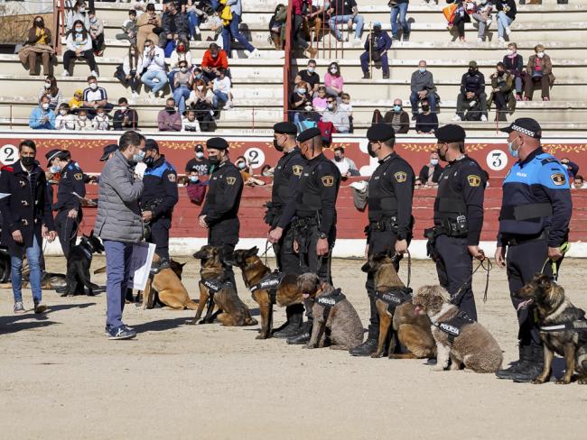 Día de la Tortilla - Exhibición canina