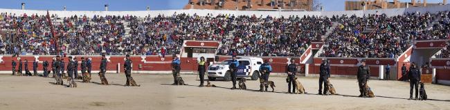 Día de la Tortilla - Exhibición canina