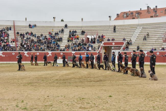 la Exhibición de la Unidad Canina de la Policía Local