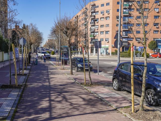 El Ayuntamiento de Torrejón de Ardoz está cumpliendo el objetivo del Plan de Reforestación y ya ha plantado más de 7.000 nuevos árboles en la ciudad en la presente legislatura