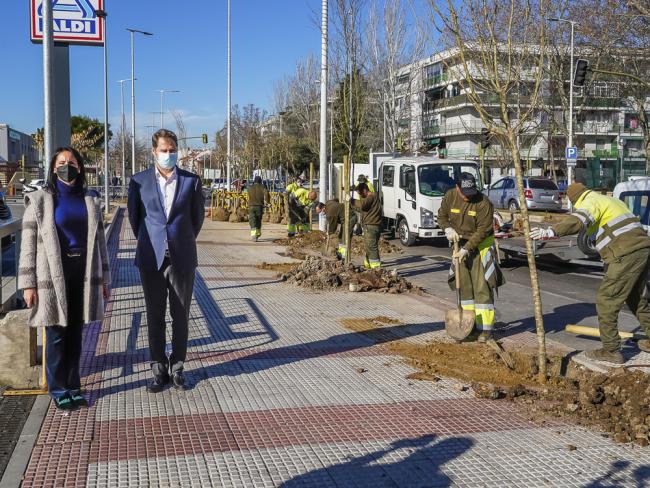 El Ayuntamiento de Torrejón de Ardoz está cumpliendo el objetivo del Plan de Reforestación y ya ha plantado más de 7.000 nuevos árboles en la ciudad en la presente legislatura