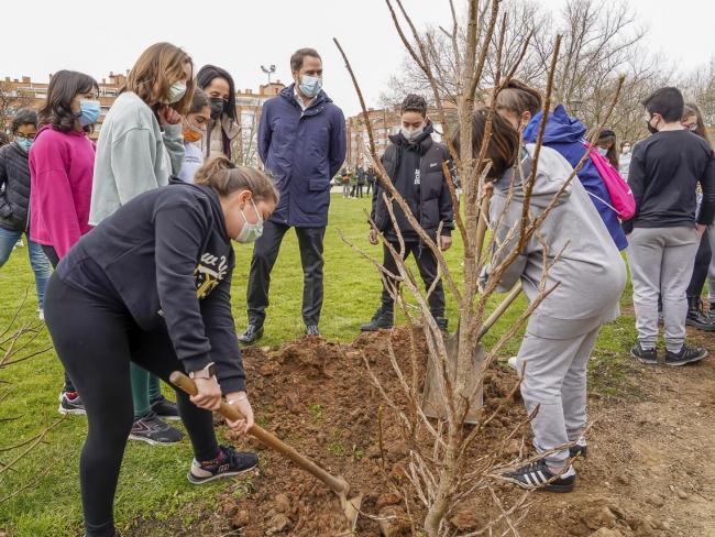 Torrejón celebra el Día del Árbol con la plantación de 200 árboles por parte de 600 escolares de la ciudad