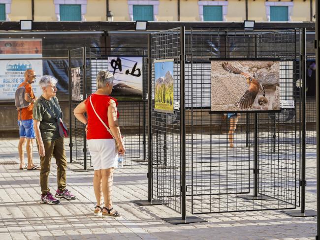 “Veranearte. Muestra de artistas locales”