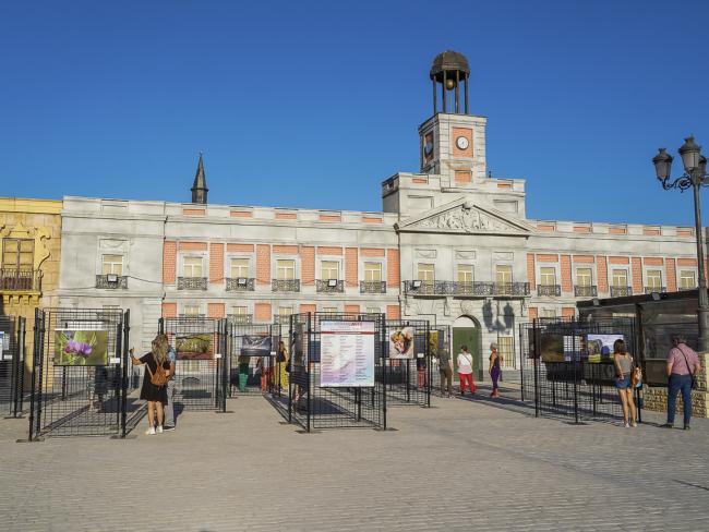 “Veranearte. Muestra de artistas locales”