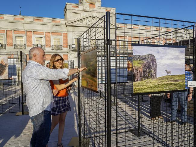 “Veranearte. Muestra de artistas locales”