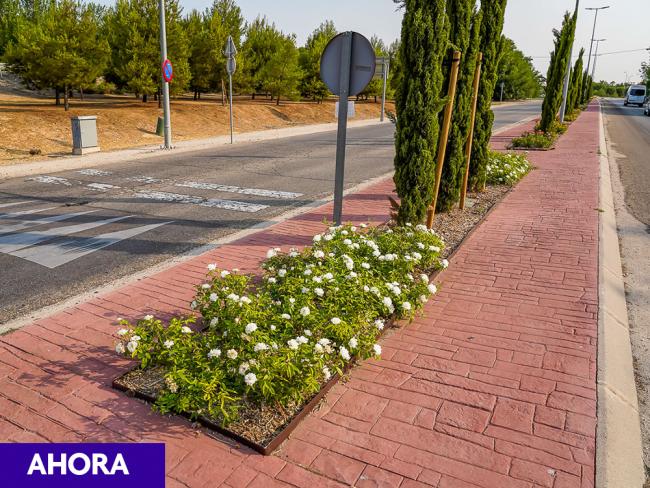 Plan de Mejora Estética de la Ciudad