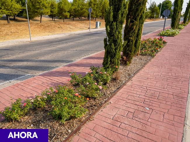 Plan de Mejora Estética de la Ciudad