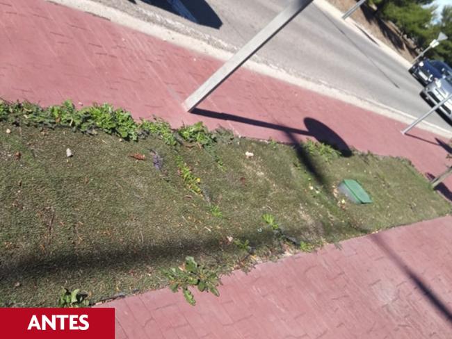 Plan de Mejora Estética de la Ciudad