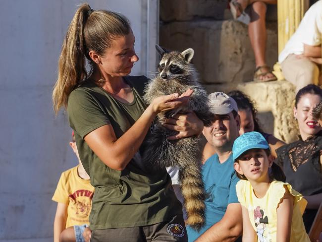 10º aniversario Parque Europa - Fauna Aventura
