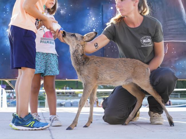 10º aniversario Parque Europa - Fauna Aventura