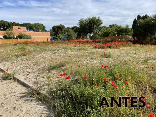 El Ayuntamiento de Torrejón construye un nuevo aparcamiento gratuito en el Parque de Cataluña con 64 plazas para vehículos y dos zonas para motos