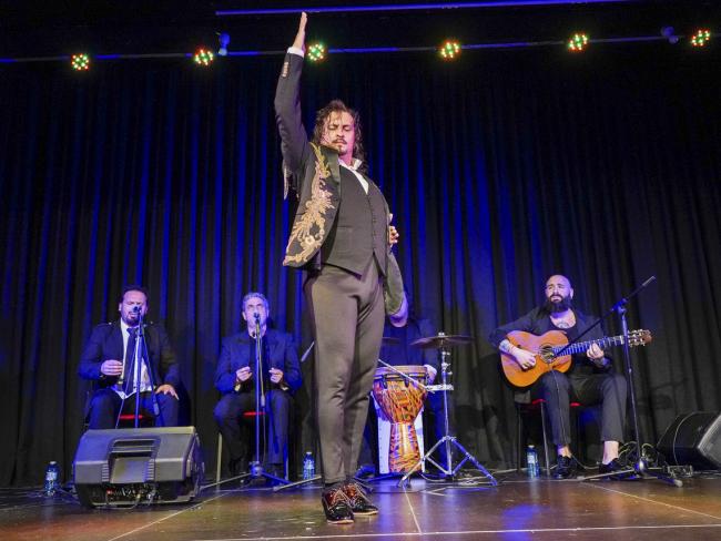  Día Internacional del Flamenco