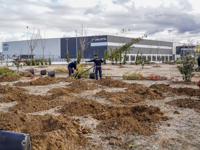 Se plantan 150 árboles con motivo del Día del Internacional contra el Cambio Climático 