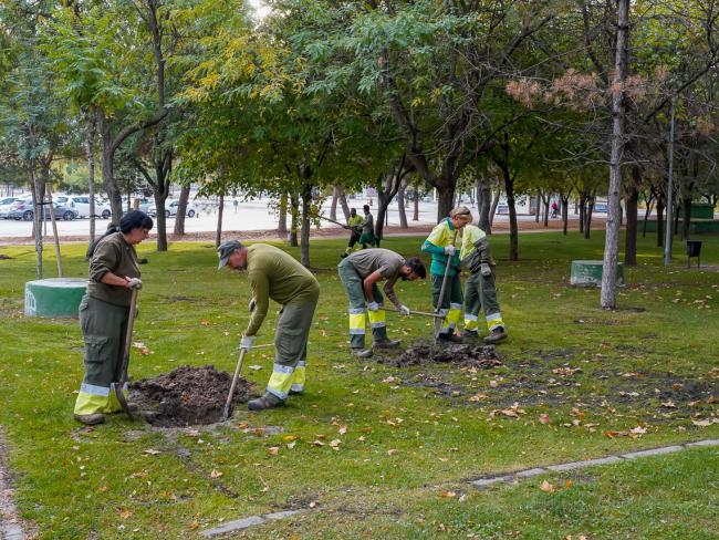 El Ayuntamiento ha reformado el Recinto Ferial de Torrejón de Ardoz, para hacerlo más accesible, seguir eliminando barreras arquitectónicas y mejorar arbolado, jardines y paseos