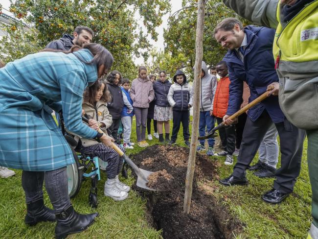 Torrejón de Ardoz conmemora el 44 aniversario de la Constitución española con la plantación de un nuevo madroño en el Parque Constitución 