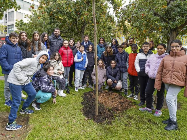 Torrejón de Ardoz conmemora el 44 aniversario de la Constitución española con la plantación de un nuevo madroño en el Parque Constitución 