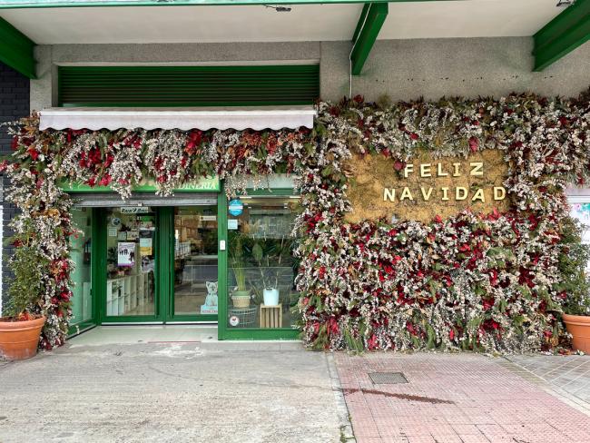 23 Ayto Torrejon Premios Escaparates Floristeria Iglesias 2º Decoracion Fachada