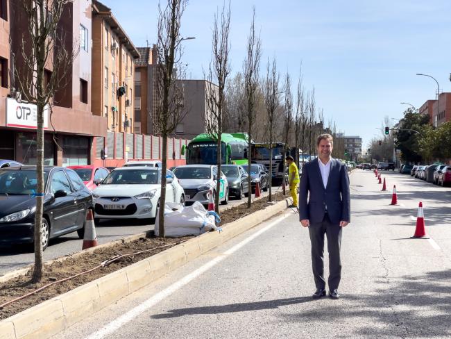 Se está renovando con la plantación de 73 árboles y miles de plantas la ornamentación vegetal de 2,2 kilómetros de medianas de las avenidas Fronteras y Constitución, gracias al Plan de Mejora Estética de la Ciudad