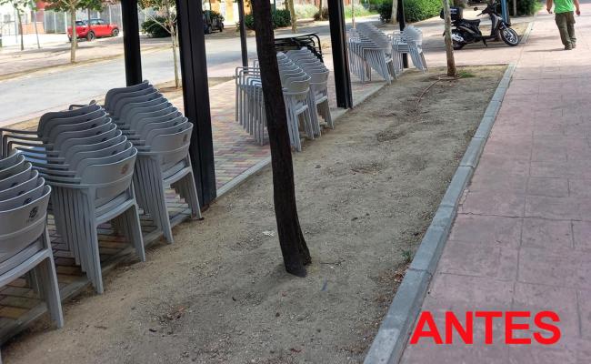 Renovado y mejorado el ajardinamiento de las calles Francisco Salzillo y Rosalía de Castro de Soto Henares con más de 8.000 plantas