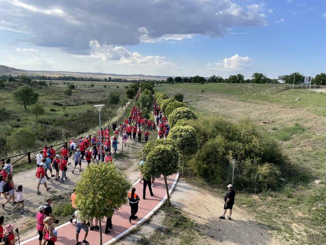 La VI edición del Camino de Cervantes finalizó ayer domingo con la última ruta que salió desde el Hospital Universitario de Torrejón y terminó en la Plaza Mayor