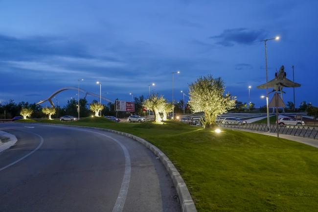Jardines 6 Olivos