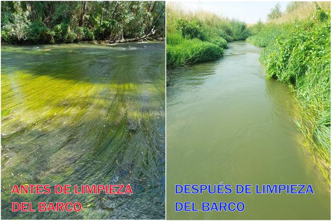 Barco anfibio